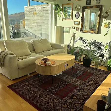 Apartamento And Cozy