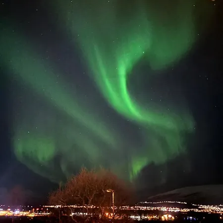 Διαμέρισμα And Cozy Τρόμσο