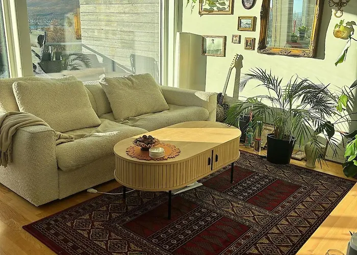 Apartamento And Cozy