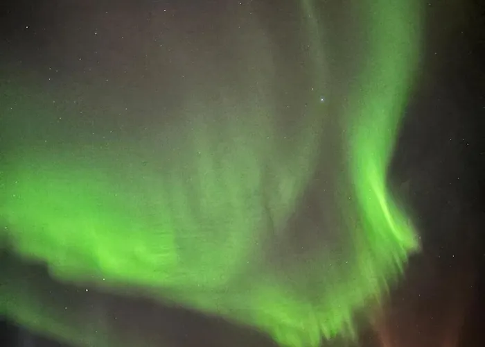 And Cozy Apartamento