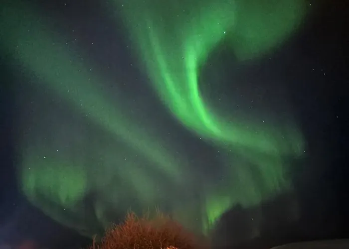 Apartamento And Cozy Tromsø